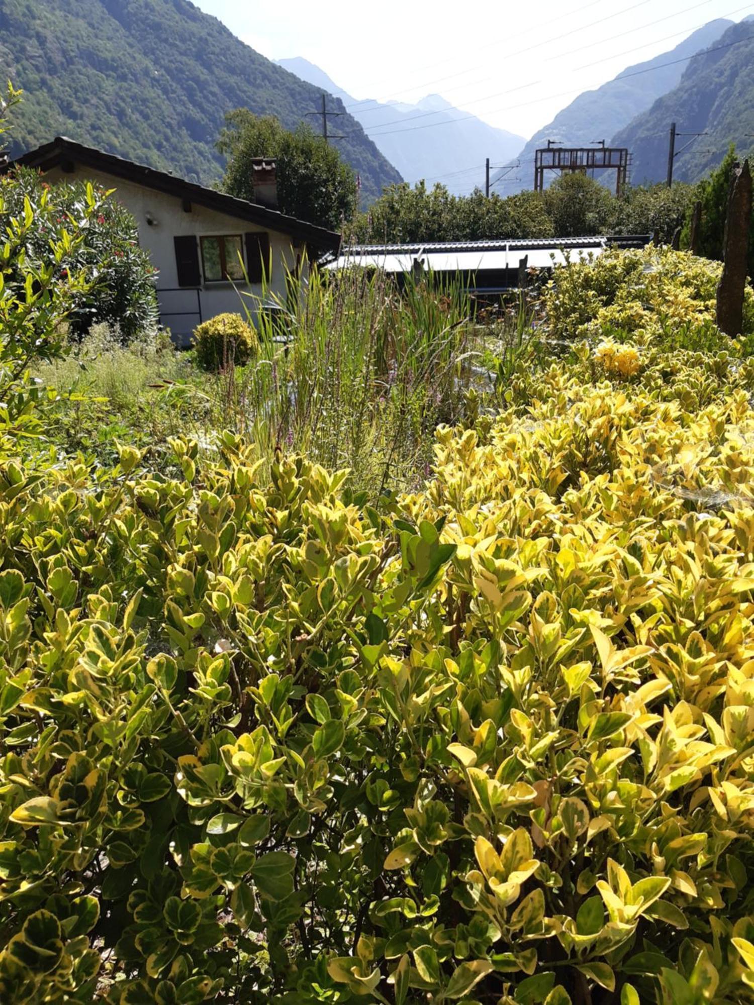 Bed and Breakfast Grotto Pergola Giornico Exterior foto